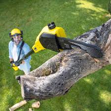 Landscape Design and Installation in Crestline, CA
