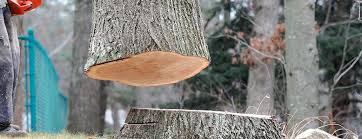 Best Tree Removal  in Crestline, CA
